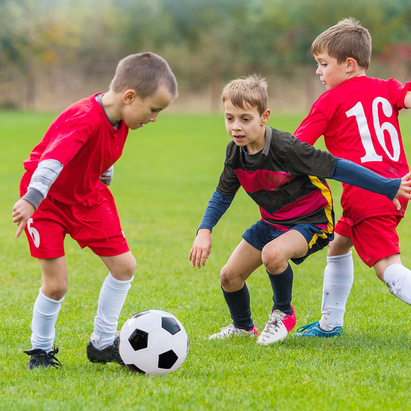Przenośny zestaw do mini piłki – Outdoor Sports Net recenzja i cena